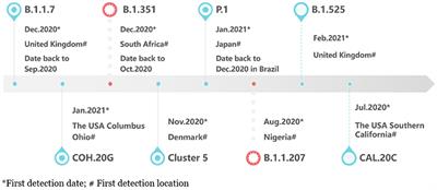 The Emergence and Spread of Novel SARS-CoV-2 Variants